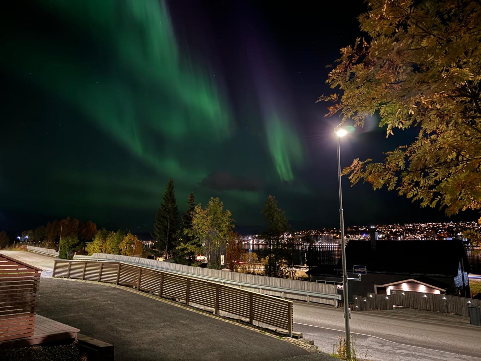 Sentralt Pa Fastlandet Og Gaavstand Til Alle Fasiliteter! Tromsdalen Экстерьер фото